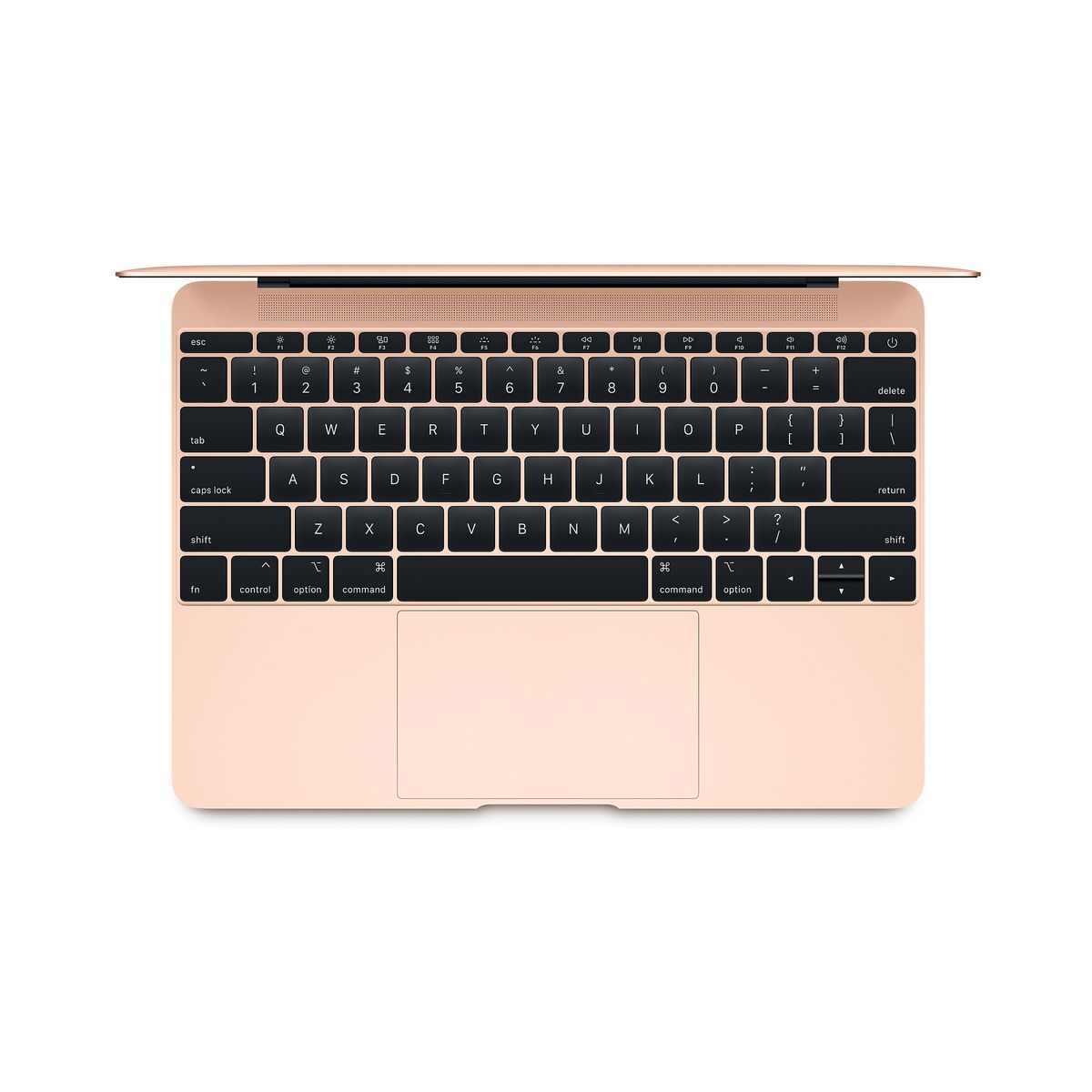 APPLE Ordinateur portable - Macbook New - 256 Go - Or