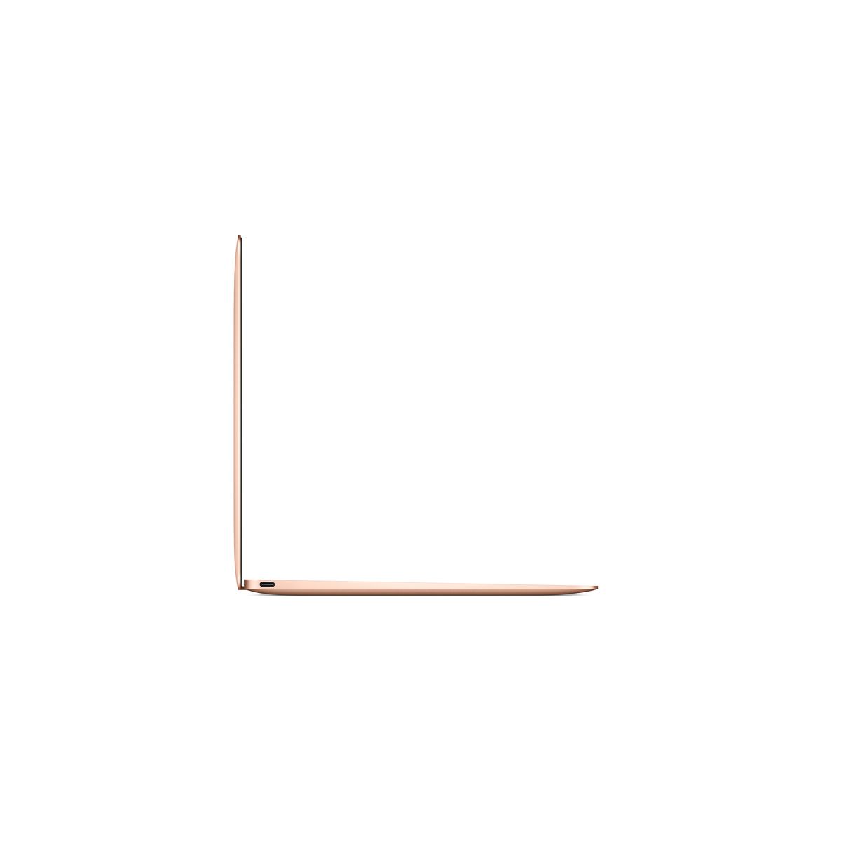 APPLE Ordinateur portable - Macbook New - 256 Go - Or