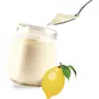 LAGRANGE Arôme pour yaourt parfum Citron 0,108 kg - 380060