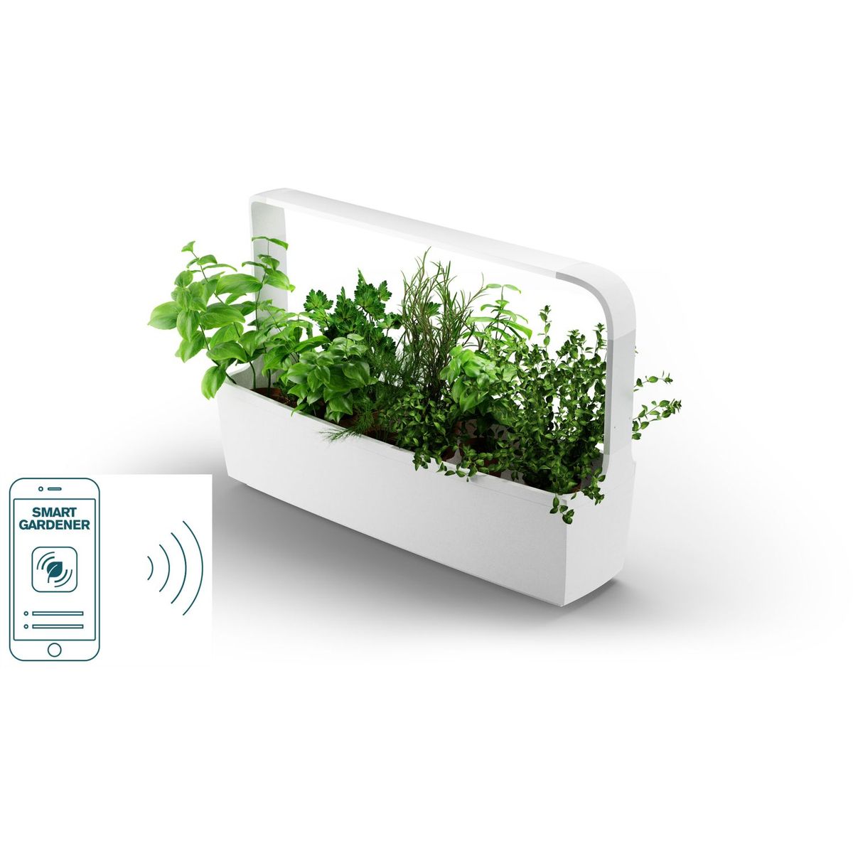 TREGREN Potager intérieur connecté T12 Blanc