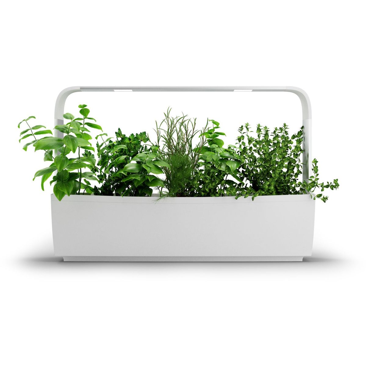 TREGREN Potager intérieur connecté T12 Blanc