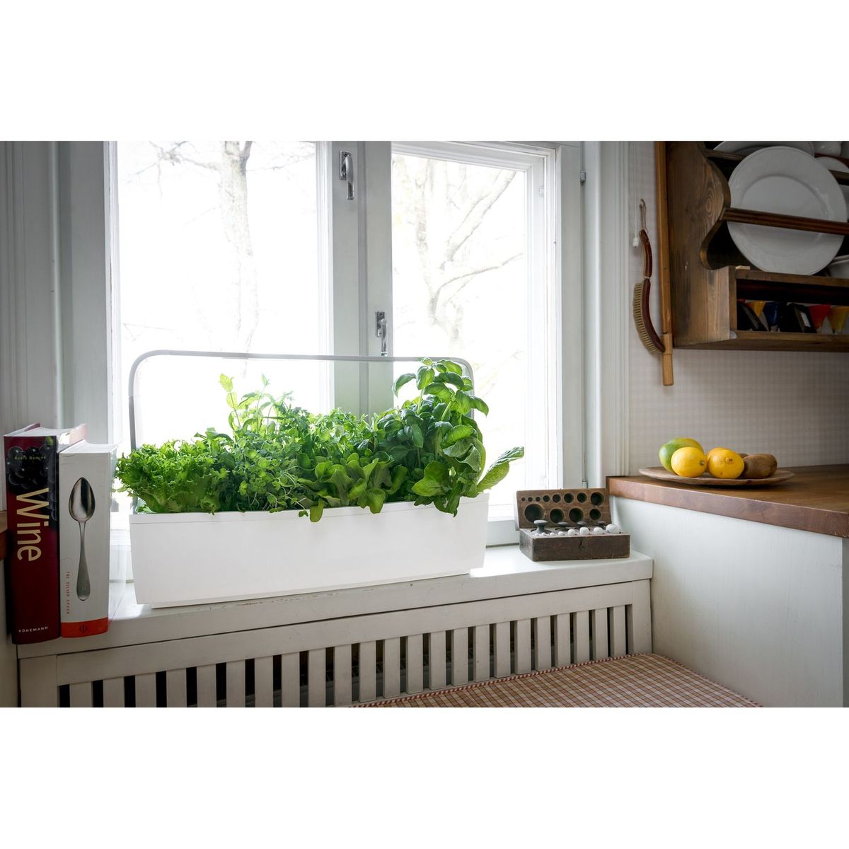 TREGREN Potager intérieur connecté T12 Blanc