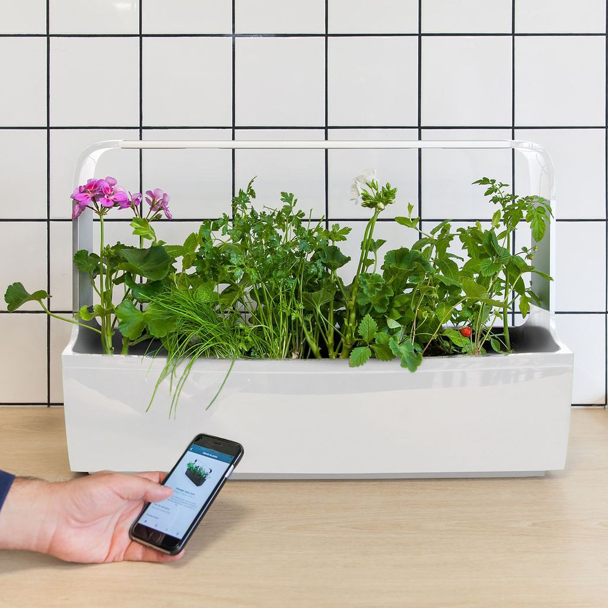 TREGREN Potager intérieur connecté T12 Blanc