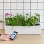 Voir la diapositive 2 : TREGREN Potager intérieur connecté T12 Blanc