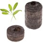 TREGREN Kit 6 capsules de graines Herbes de Provence pour jardin d'intérieur