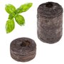 TREGREN Kit 6 capsules de graines Herbes Italiennes pour jardin d'intérieur
