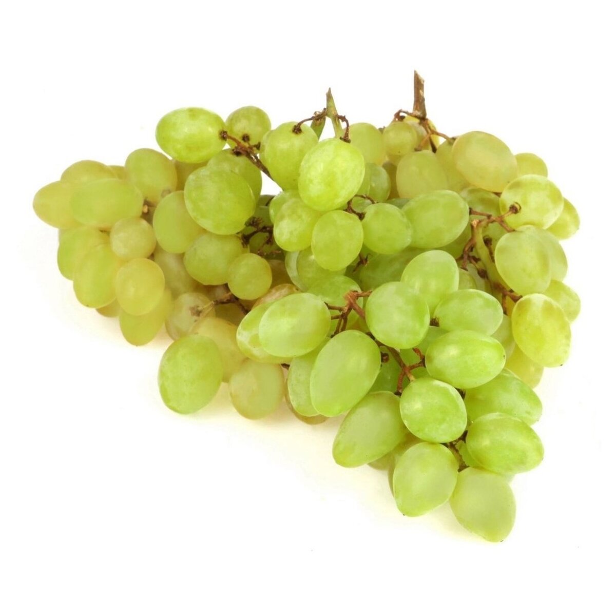 raisin blanc bio sans pépin 500g