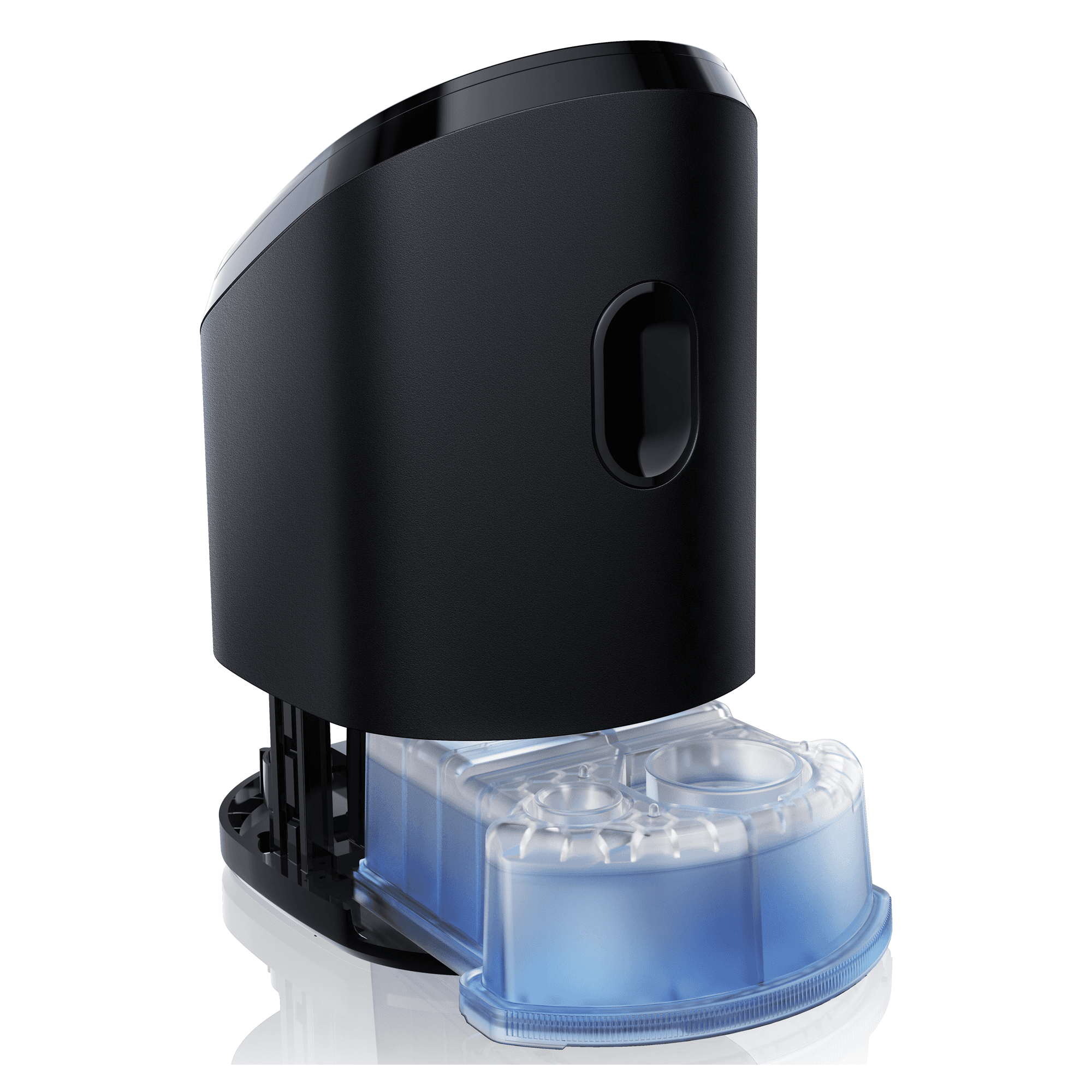 Voir la diapositive 6 : BRAUN hygiène dentaire recharge nettoyage BR5331701