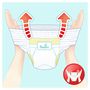 Voir la diapositive 8 : PAMPERS Baby-dry pants culottes taille 3 (6-11kg) 92 couches