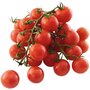 tomate cerise ronde en grappe bourriche 250g