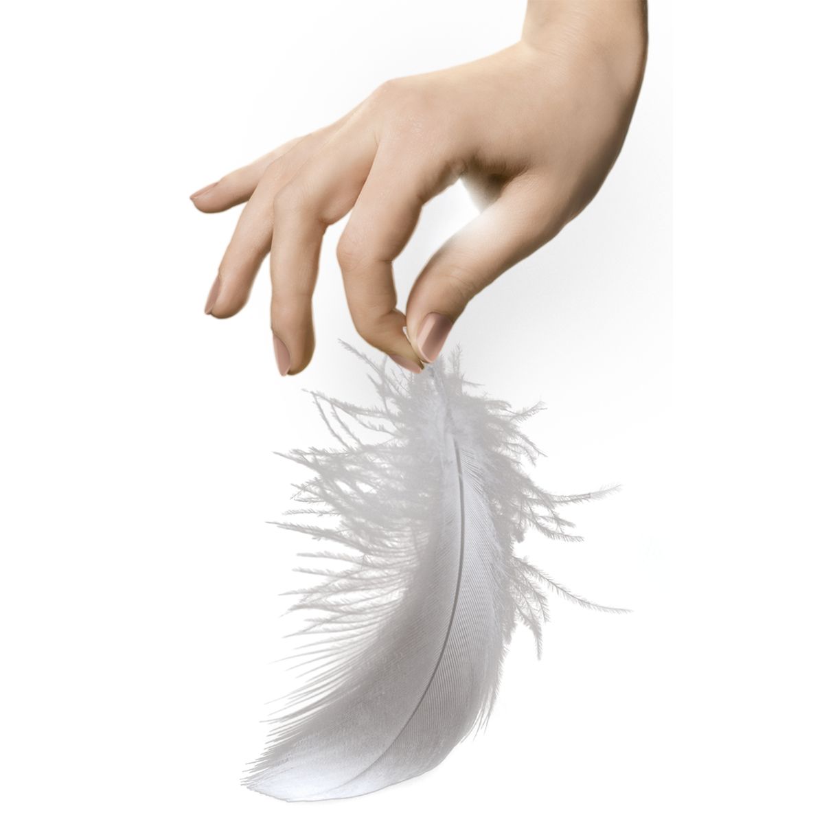 ROWENTA Aspirateur balai RH9059WO Air Force 360