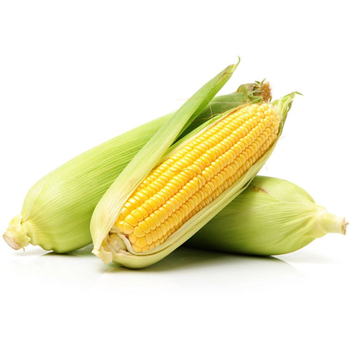 maïs bio épis x2 -400g