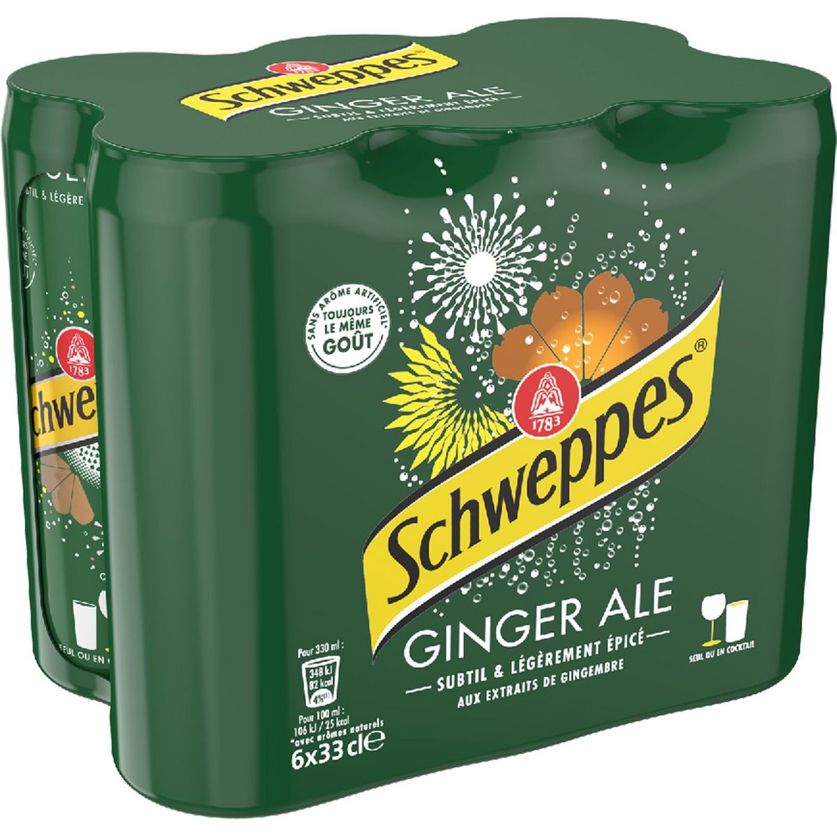SCHWEPPES Boisson gazeuse Ginger Ale saveur gingembre boîtes slim 6x33cl