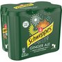 SCHWEPPES Boisson gazeuse Ginger Ale saveur gingembre boîtes slim 6x33cl