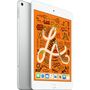 Voir la diapositive 4 : APPLE Tablette tactile iPad Mini 7.9 pouces 64 Go Argent Cell