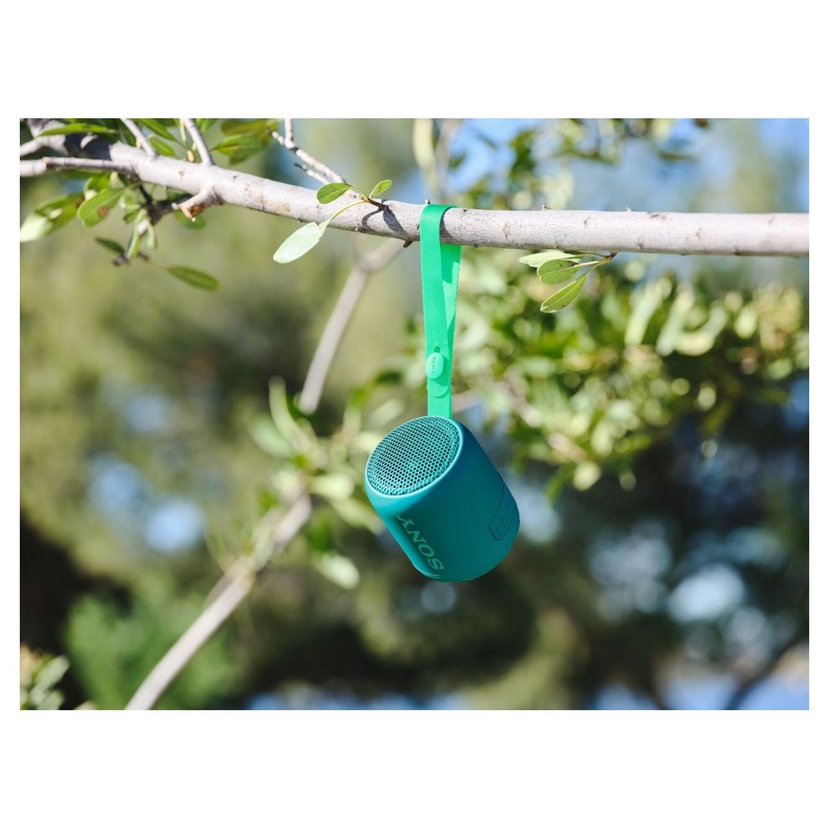 SONY Enceinte portable Bluetooth - Vert - SRS-XB12