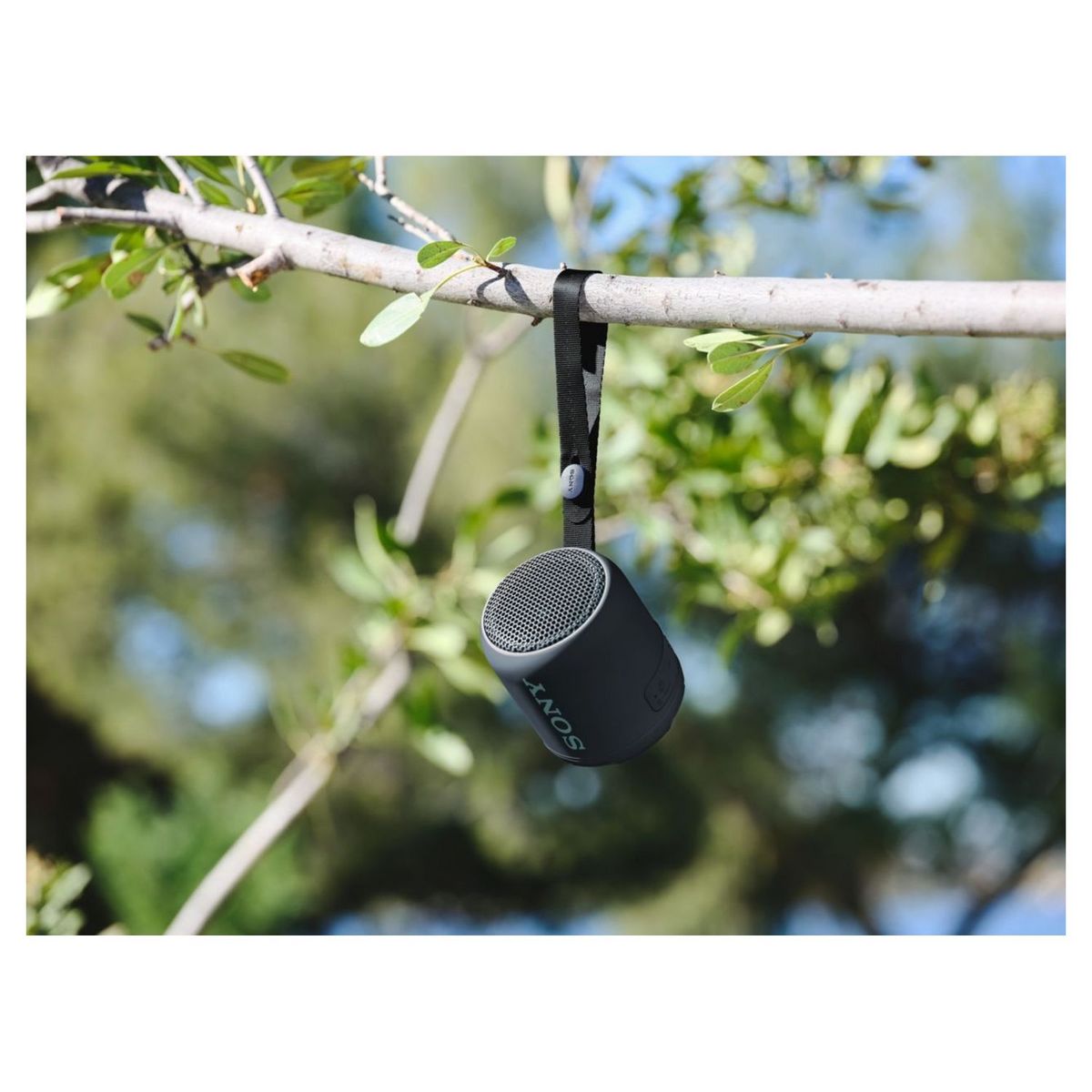 SONY Enceinte portable Bluetooth - Noir - SRS-XB12