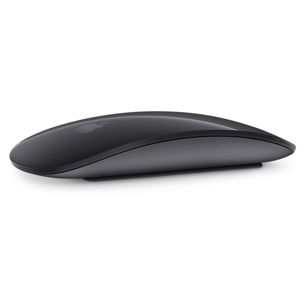 APPLE Souris sans fil Magic Mouse 2 Gris Sidéral