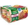 Voir la diapositive 1 : BLEDINA Petits pots pomme framboise dès 6 mois 4x130g