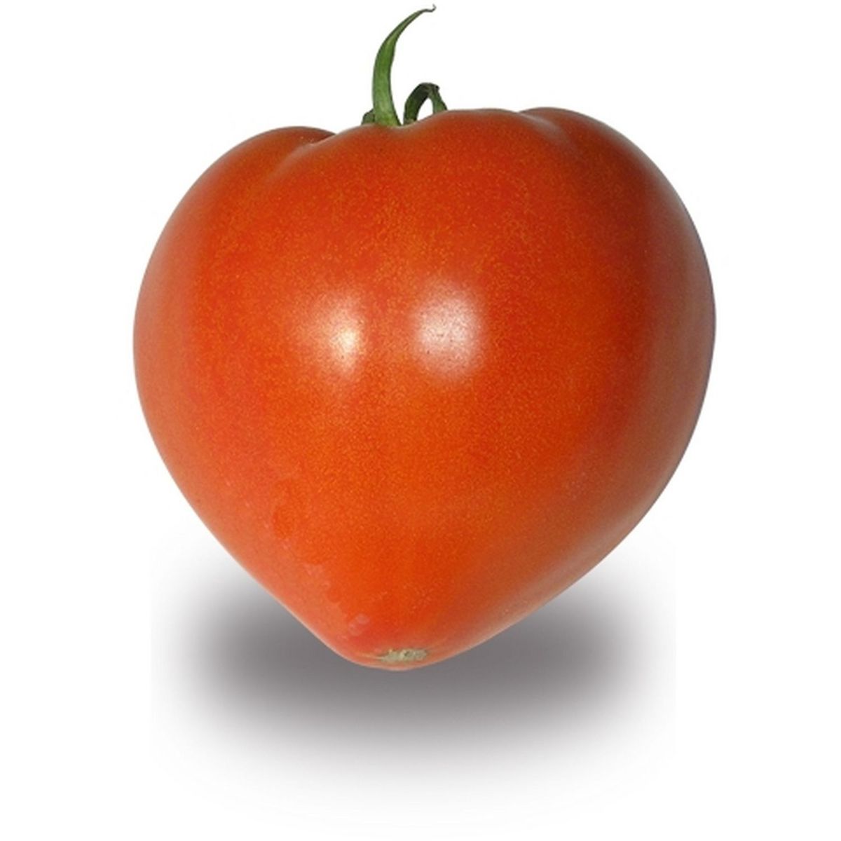 TOMATE BIO COEUR DE BOEUF