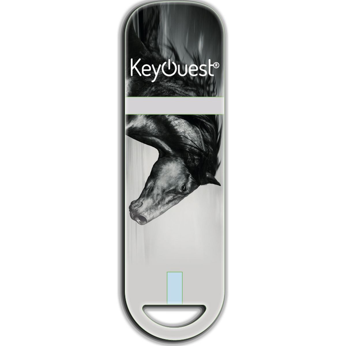 KEYOUEST Clé USB 2.0 16 Go Cheval étalon noir Gris