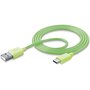 CELLULARLINE Câble USB/USB-C 1 m Vert