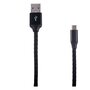 QILIVE Câble de charge USB vers USB-C - Mâle/mâle - 2 mètres - Cuir noir
