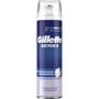 Voir la diapositive 1 : GILLETTE Gillette mousse à raser series soin revital 250ml