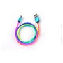 QILIVE Câble de charge USB vers USB-C - Mâle/mâle - 1 mètre - Nylon multicolore