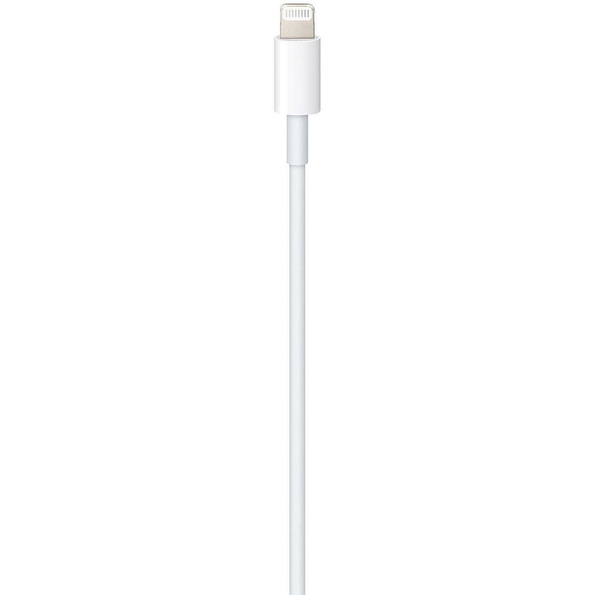 APPLE Câble de chargement USB-C vers Lightning 1 mètre Blanc