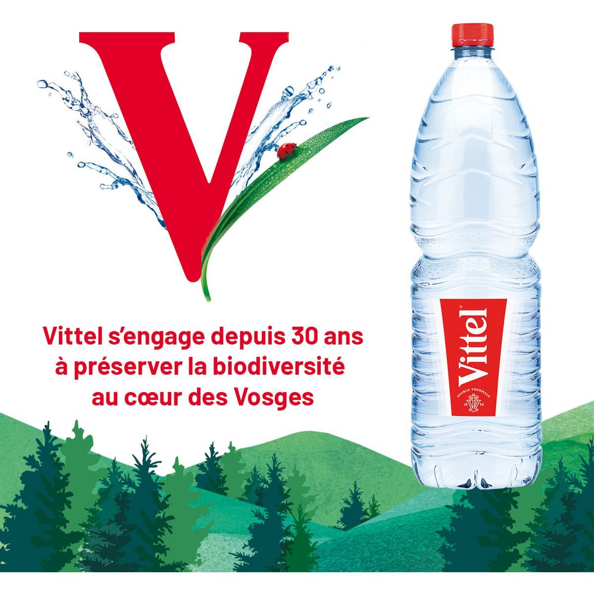 VITTEL Eau minérale naturelle plate 6x2l