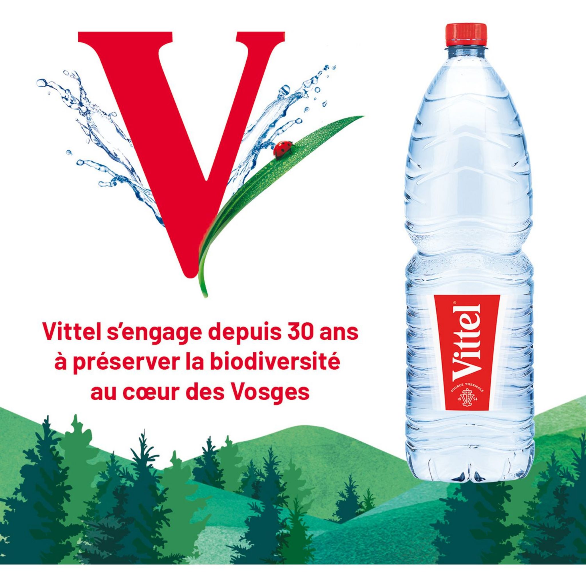 Voir la diapositive 2 : VITTEL Eau minérale naturelle plate 6x2l