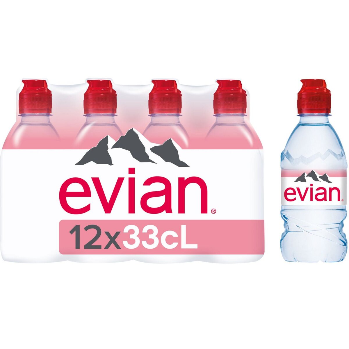 EVIAN Eau minérale plate naturelle bouteilles 12x33cl