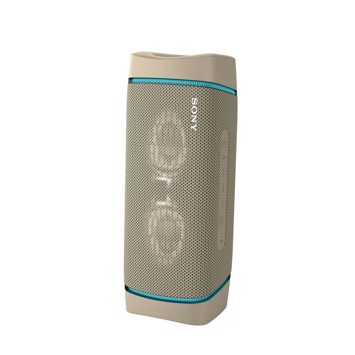 SONY Enceinte portable Bluetooth - Gris sable - SRS-XB33