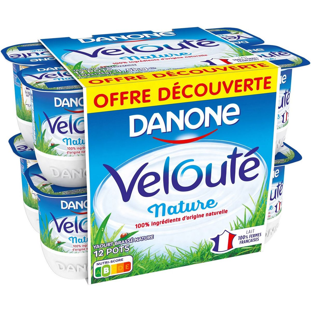 DANONE Velouté nature  12x125g