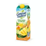 CARESSE ANTILLAISE Nectar d'ananas mangue et citron vert 1l