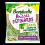 Voir la diapositive 2 : BONDUELLE Pousses d'épinard sans résidu de pesticides 1 part 90g