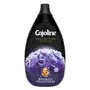CAJOLINE Collection Parfum Adoucissant linge concentré bouquet voluptueux 38 lavages 950ml