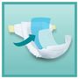 Voir la diapositive 23 : PAMPERS Baby dry Couche taille 8 (17kg +) x28 28 couches