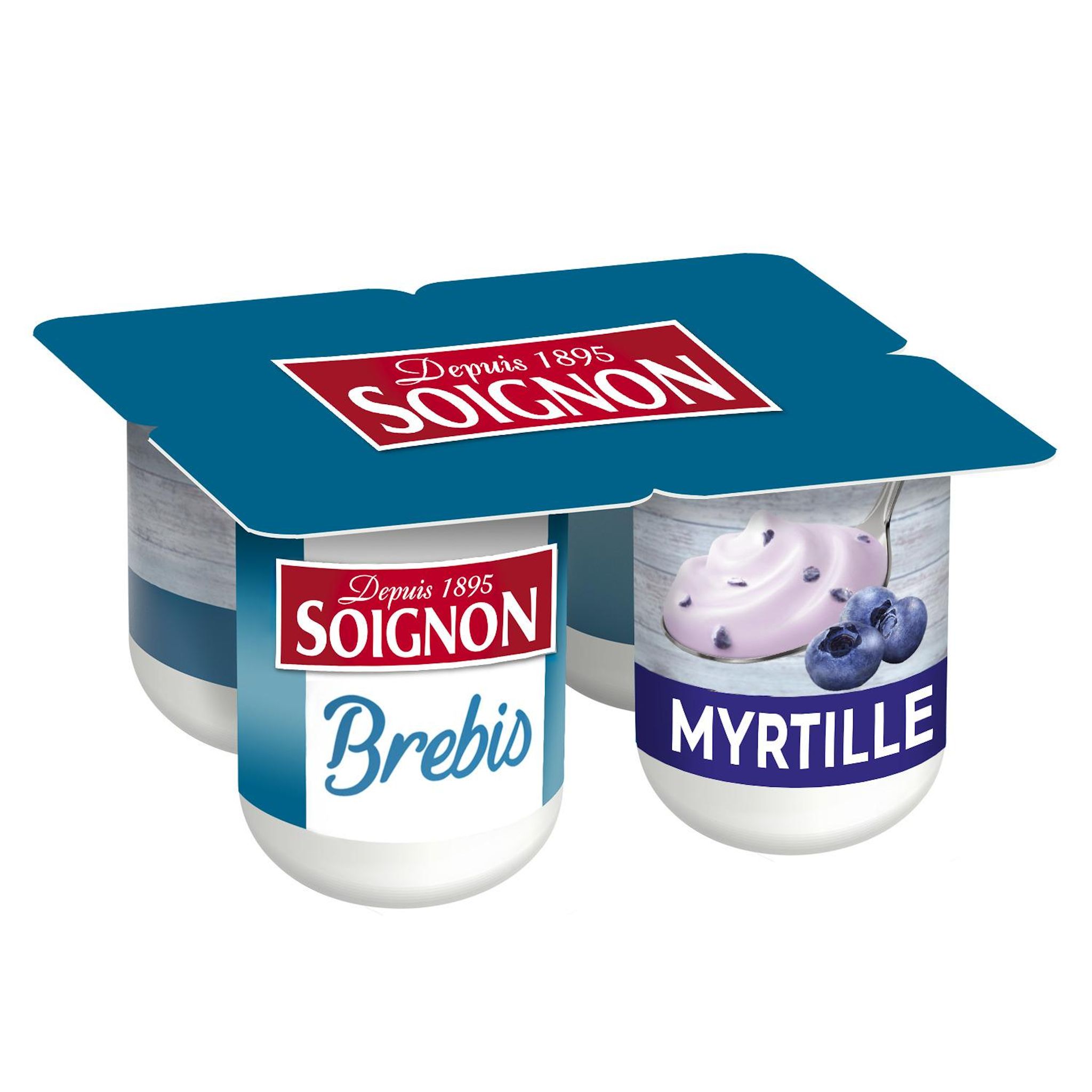 SOIGNON Yaourt à la myrtille au lait de brebis 4x110g
