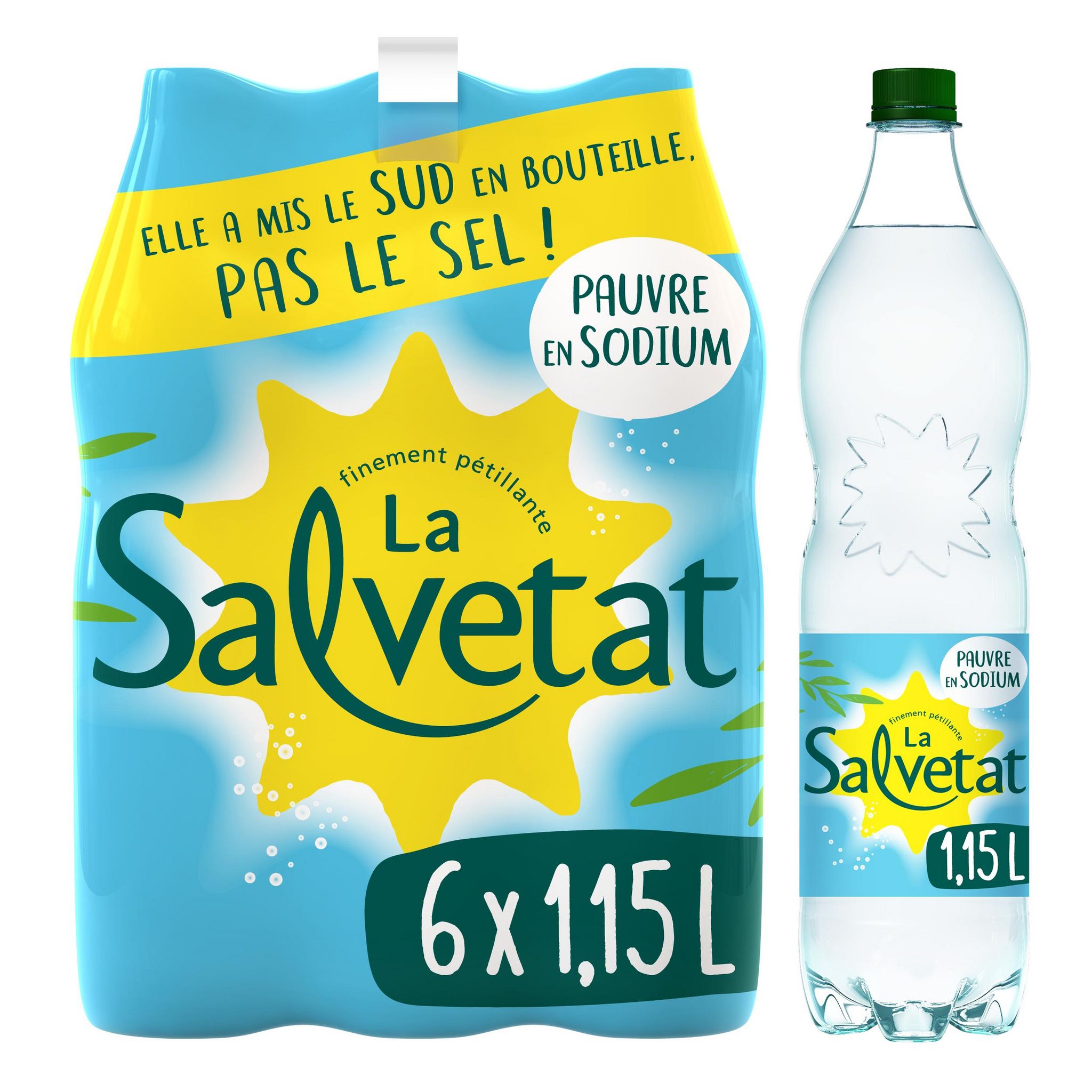 Voir la diapositive 2 : SALVETAT Eau gazeuse minérale naturelle pauvre en sodium 6x1,15l