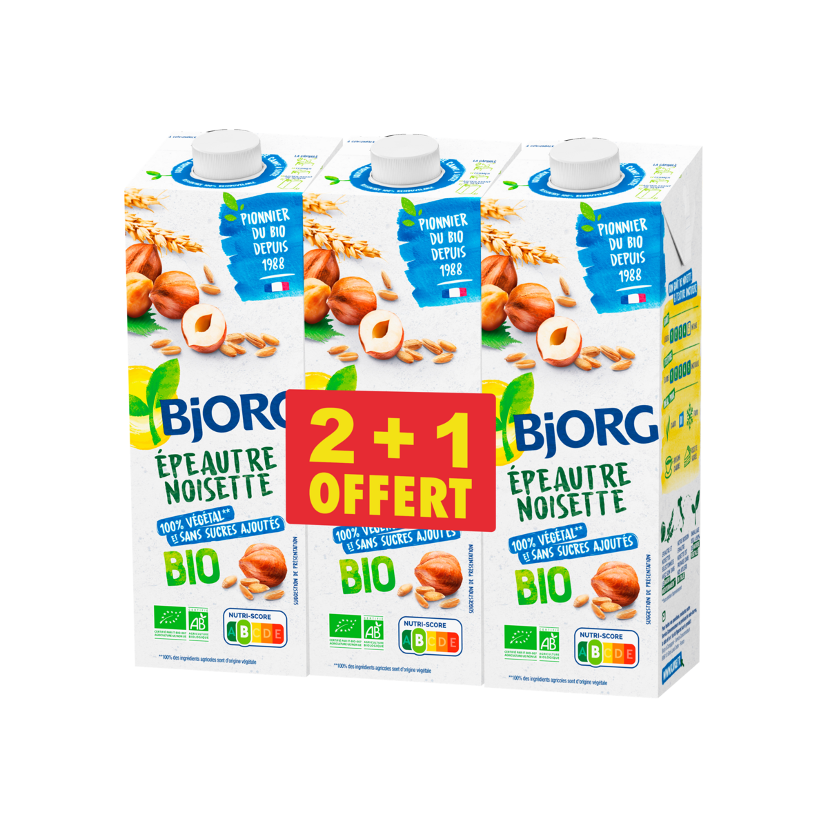 BJORG Boisson végétal épeautre noisette bio sans sucres ajoutés 3x1l