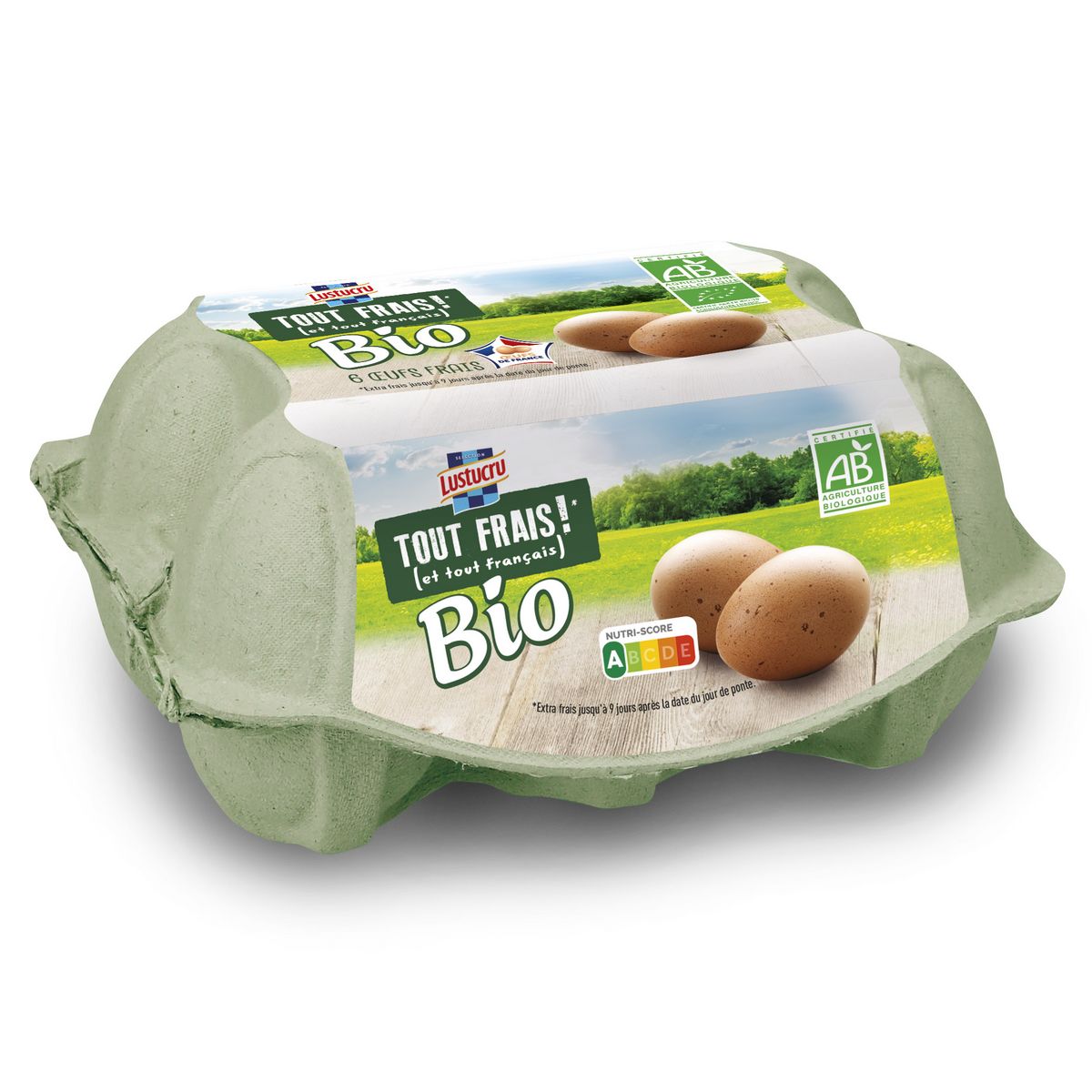 LUSTUCRU Tout frais œufs bio 6 œufs