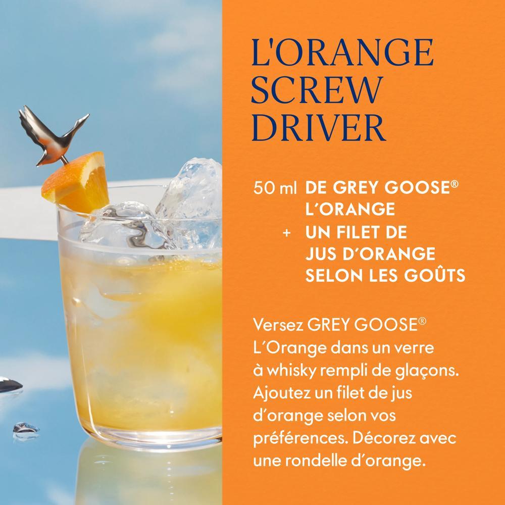 Voir la diapositive 3 : GREY GOOSE Vodka premium l'Orange 40% 70cl