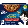 PURINA Felix sachets repas saveur viande Sensations gelée sélection de la campagne pour chat adulte 12 sachets 12x85g