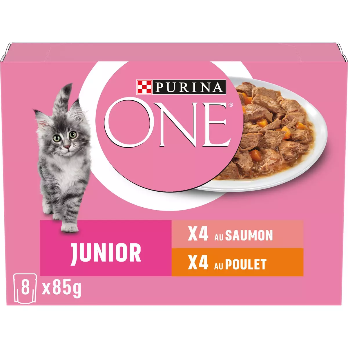 Purina ONE Croquettes chat Junior riche en poulet et céréales complètes 6 x  1,5 kg