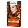 PALETTE Coloration crème soin permanente 8-70 blond terracotta 1 kit