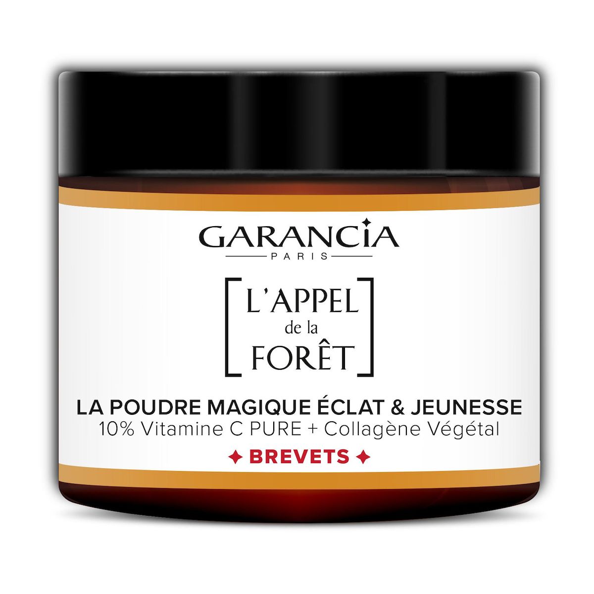 GARANCIA Poudre éclat 6g