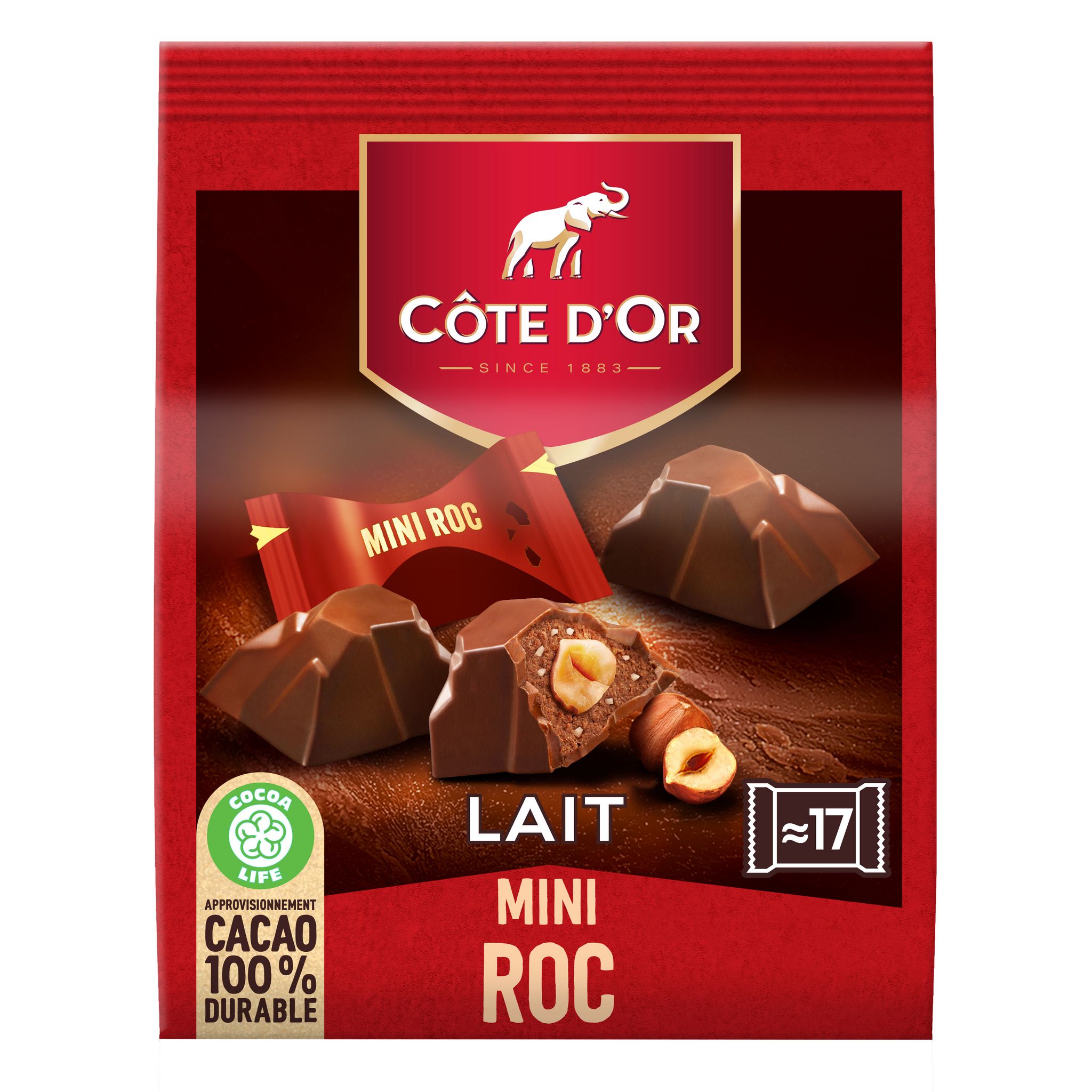 COTE D'OR Mini Roc au chocolat au lait Environ 17 chocolats 158g pas cher Auchan.fr