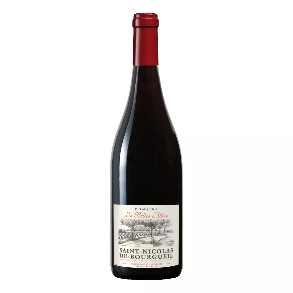 Vin rouge Saint-Nicolas-de-Bourgueil Domaine Les Belles Allées 75cl